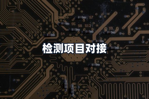 检测项目对接